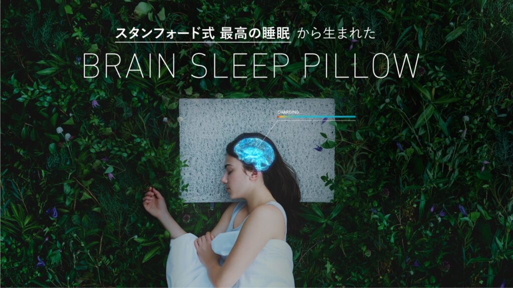 【レビュー】脳が眠る枕「ブレインスリープピロー」を買ってみた。 | Life Note